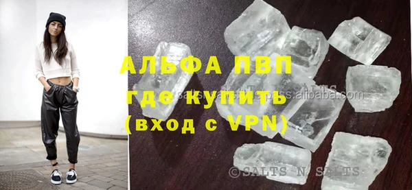 spice Алзамай