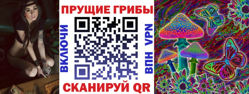 как найти   Пущино  Псилоцибиновые грибы MAGIC MUSHROOMS 