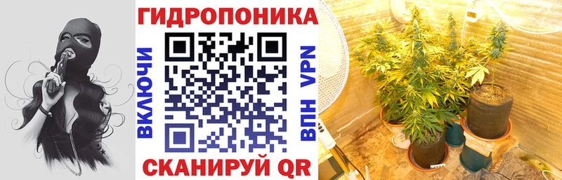 МАРИХУАНА SATIVA & INDICA купить наркотики сайты omg зеркало Пущино